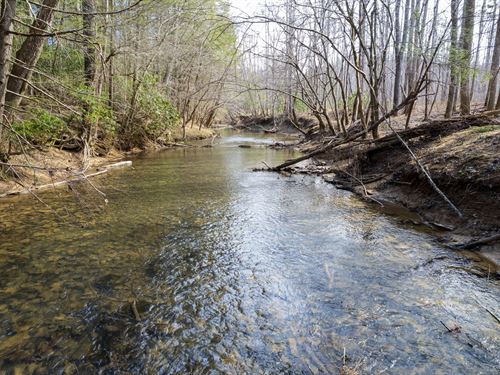 33 Acre Building Lot East Tennes : Sunbright : Morgan County : Tennessee