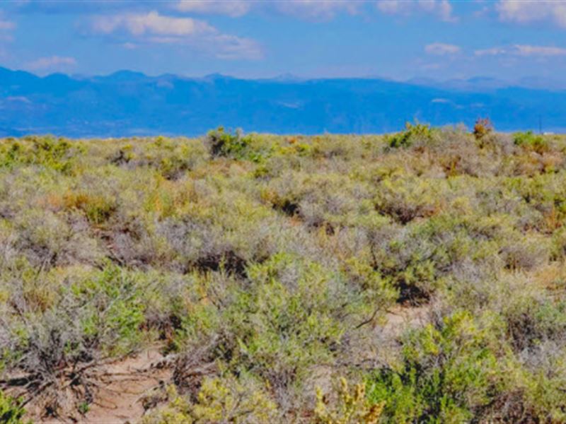 Build or Invest with Mountain Views : Alamosa : Alamosa County : Colorado