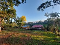 Beautiful Dairy Farm : Costa Rica