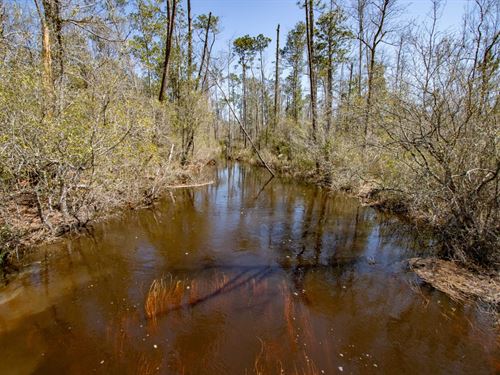 4 Ac Homesite With Big Creek Near : Blountstown : Calhoun County : Florida