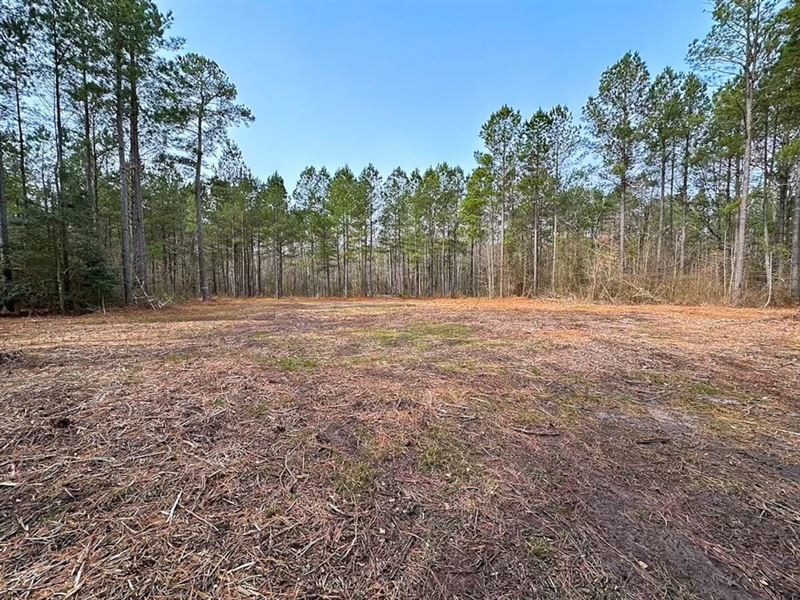 8.8 Acres of Timb : Emporia : Emporia County : Virginia