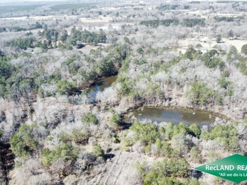 80 Ac, Hunting or Home Site : Monroe : Ouachita Parish : Louisiana