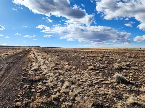 Dirt with Potential : Concho : Apache County : Arizona