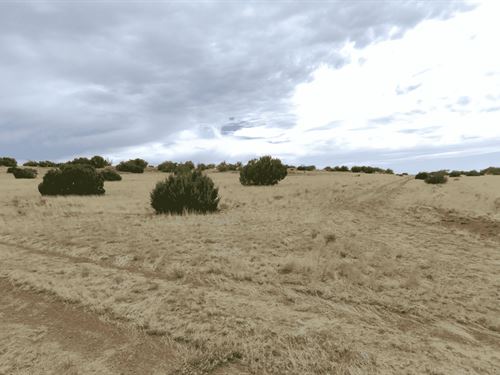 Breathe. Build. Belong : Concho : Apache County : Arizona