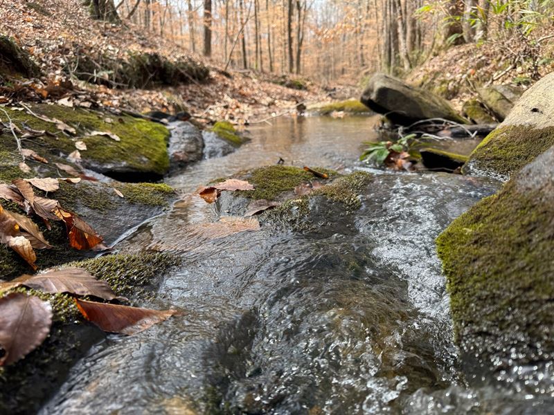 178.71 Acres, in Camp Hill, Tallapo : Camp Hill : Tallapoosa County : Alabama