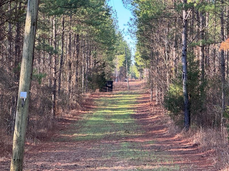 178.71 Acres, in Camp Hill, Tallapo : Camp Hill : Tallapoosa County : Alabama