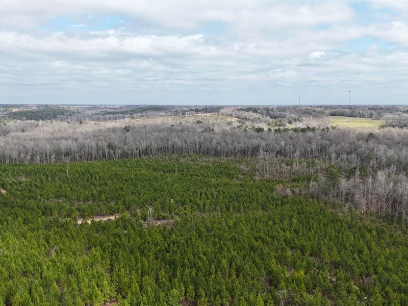 266.93 Acres, Deatsville, Autau : Deatsville : Autauga County : Alabama
