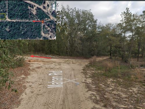.43 Acres, Interlachen Fl, $280/Mo : Interlachen : Putnam County : Florida