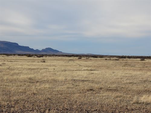 .50 Acres in Luna, $49 Down : Deming : Luna County : New Mexico