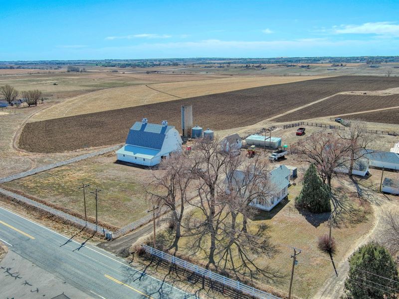 Asa Farm Land and Horse : Berthoud : Larimer County : Colorado