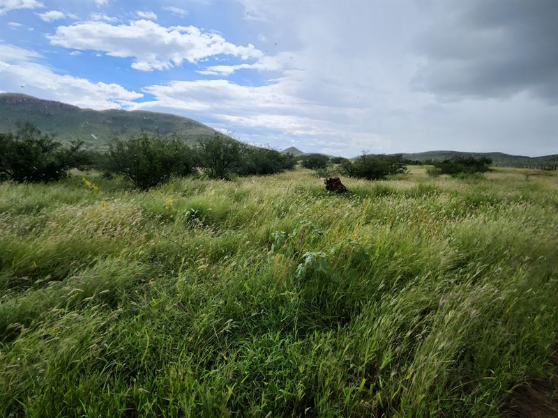 Beautiful Double U Ranch : Tombstone : Cochise County : Arizona