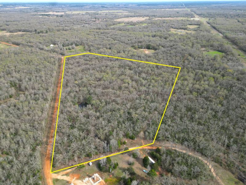 Unrestricted Agricultural Land : Grapeland : Houston County : Texas