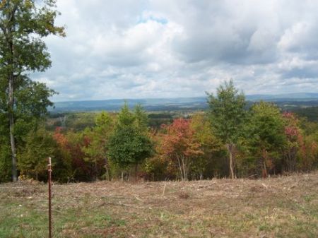 125+/- Acres Close To Chattanooga : Harrison : Hamilton County : Tennessee