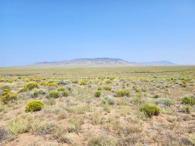 .27 Acres with River Access : Antonito : Costilla County : Colorado
