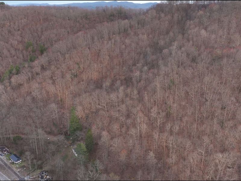 36.66 Acres in Lee County VA : Saint Charles : Lee County : Virginia