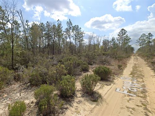 Get This Lot While It's Hot : Interlachen : Putnam County : Florida