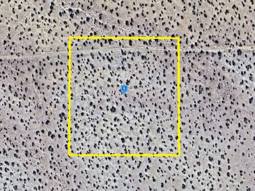 Desert Living, $253.49 Down : California City : Kern County : California