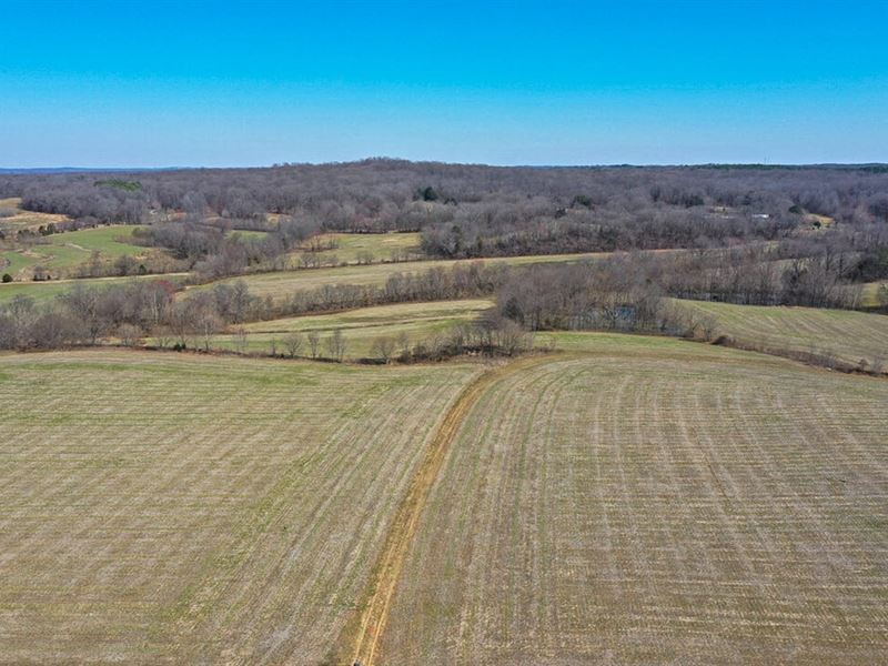45.20 Acres in Henry, Tennessee : Henry : Henry County : Tennessee
