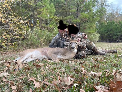 La, Rapides 156 Acres : Forest Hill : Rapides Parish : Louisiana