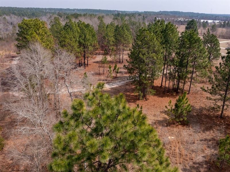 3.42 Acres of Residential Land : Hamlet : Richmond County : North Carolina
