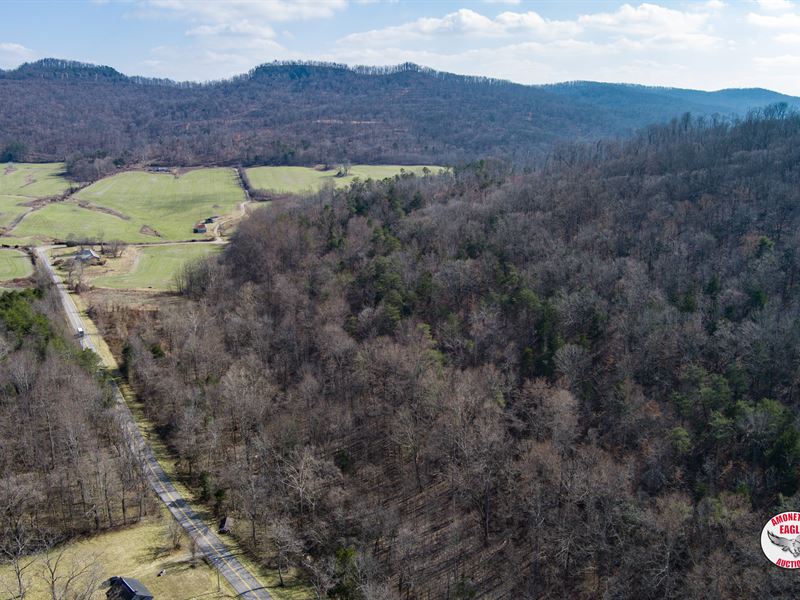 132+/- Acres Offered in 2 Tracts : Albany : Clinton County : Kentucky