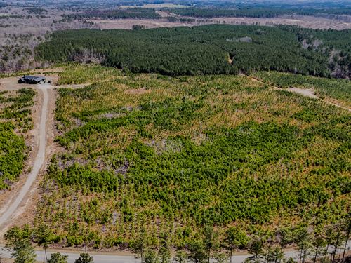 John Kay Road Tract 1 : Taylorsville : Bartow County : Georgia