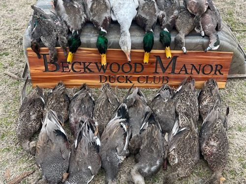 198 Acre Farm With Reservoir : Dewitt : Arkansas County : Arkansas