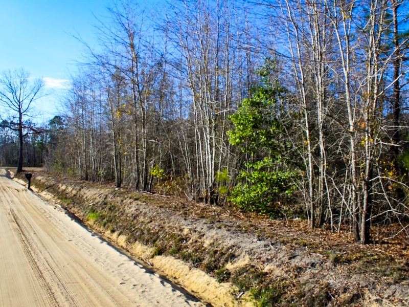 2.68 Acres of Buildable Land for Sa : Galivants Ferry : Horry County : South Carolina