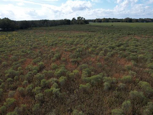 108 Acres In Franklin Parish, LA : Winnsboro : Franklin Parish : Louisiana