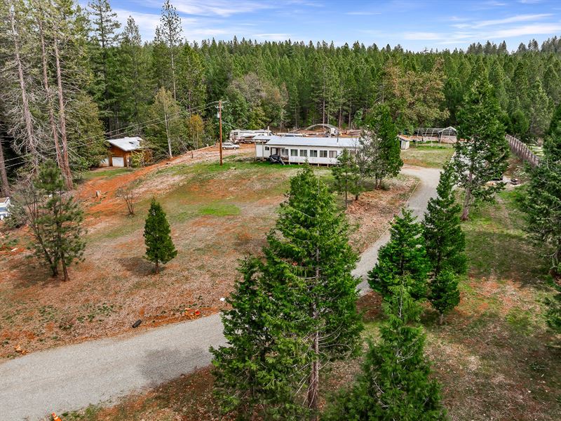 Bring The RV, All Utilities : Brownsville : Yuba County : California