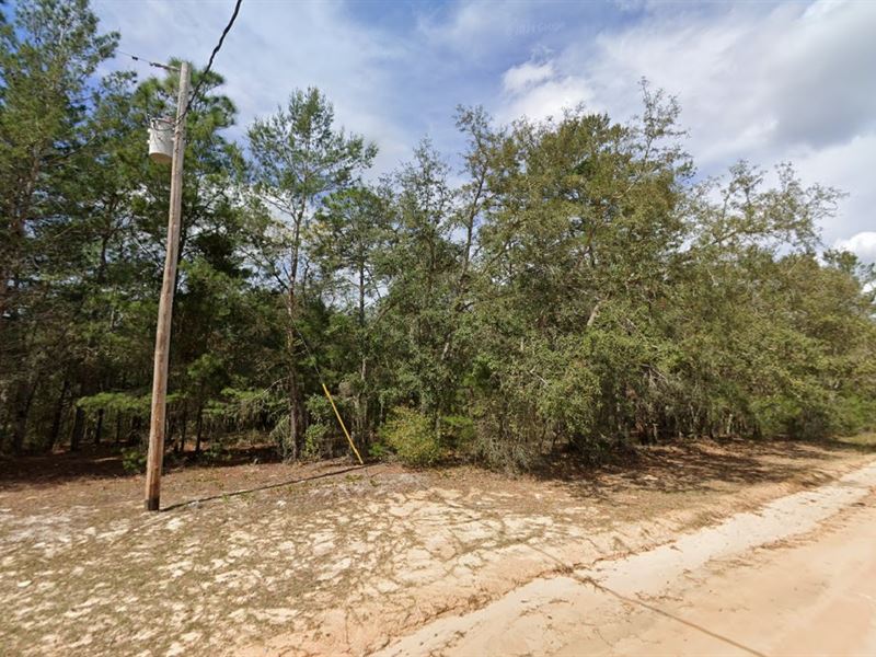 Freedom & Flexibility, $443/Mo : Interlachen : Putnam County : Florida