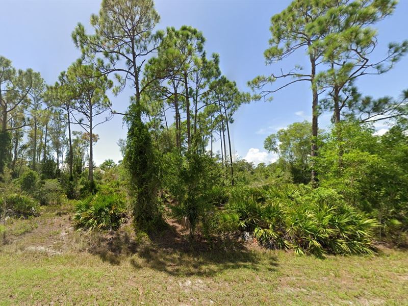 Future-Proof Your Wealth, $391/Mo : Punta Gorda : Charlotte County : Florida