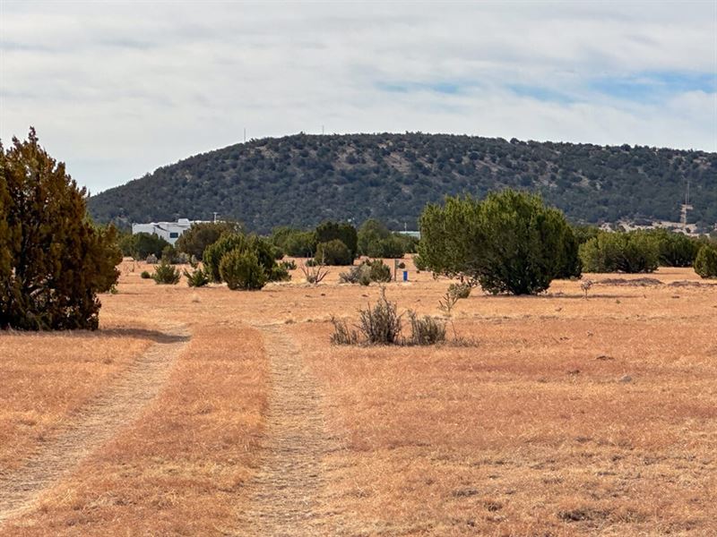 Gran Quivera 80 Ac : Willard : Torrance County : New Mexico