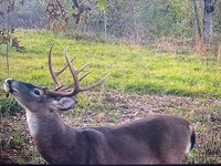 Creeks, Campsites & Trophy Wildlif : Vicksburg : Warren County : Mississippi