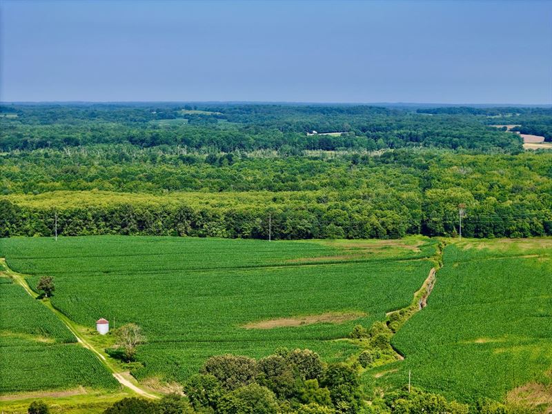 66-Acres with Row Crop, Whitetail : Camden : Benton County : Tennessee