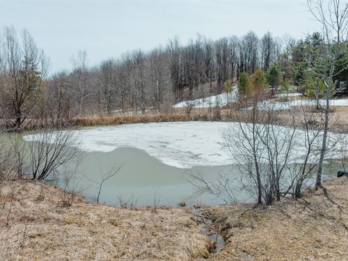 Ideal Recreational Property : Herkimer : Oswego County : New York