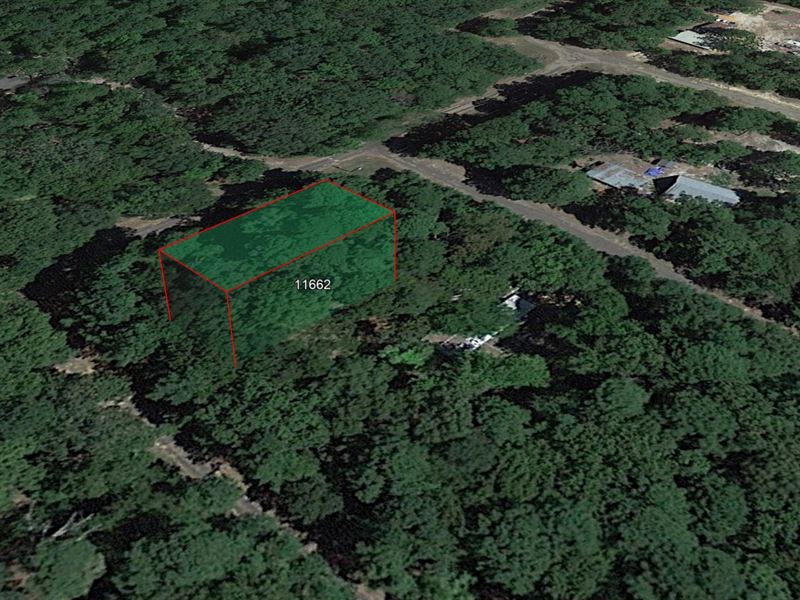 .13 Acre in Avinger, $150/Mo : Avinger : Marion County : Texas