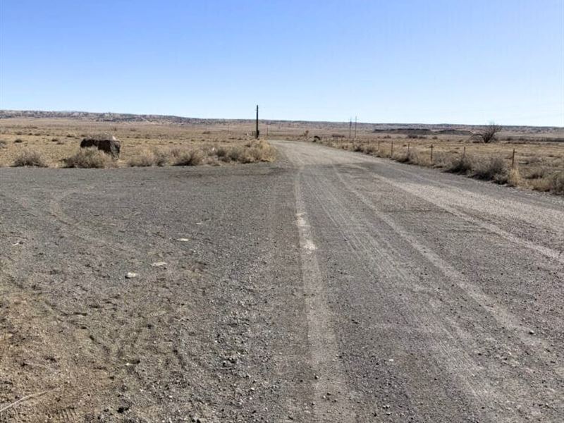 Great for Outdoor Activities : Albuquerque : Bernalillo County : New Mexico