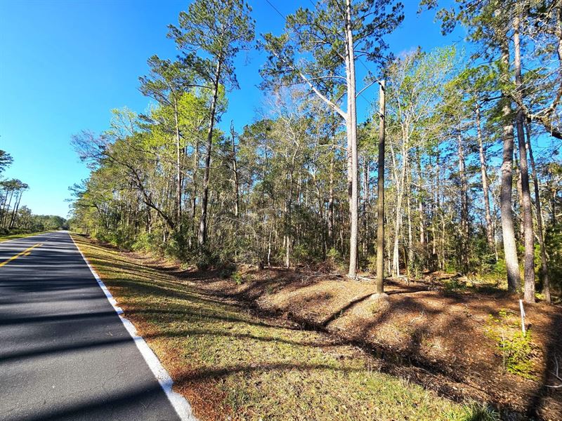 1+ Acre Lot 1 Piney Bluff Camden Co : Waverly : Camden County : Georgia