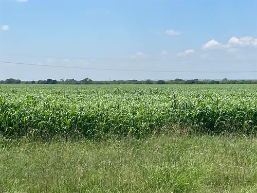 Runge Prime Farmland : Runge : Karnes County : Texas