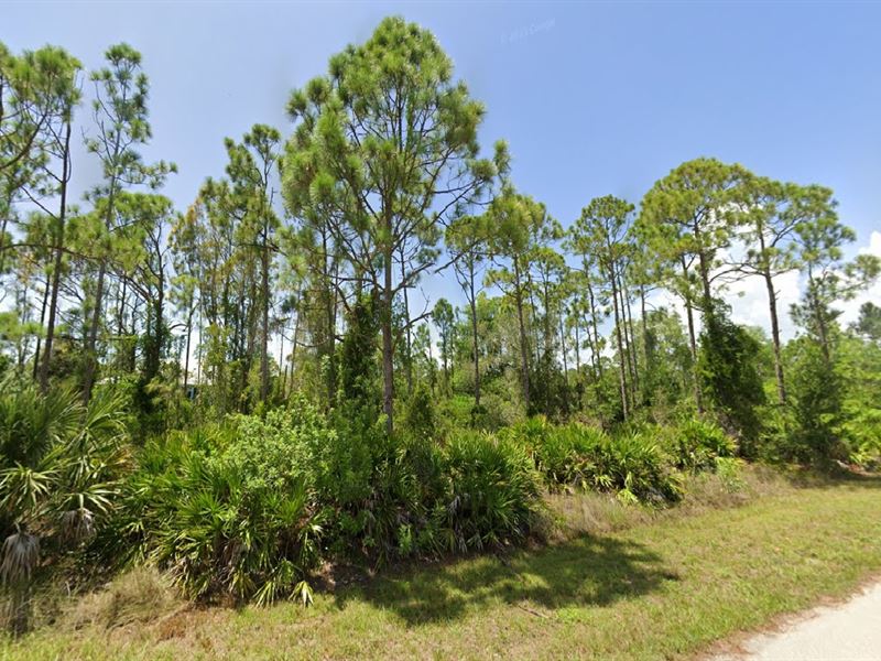 Affordable FL Lot Yours at $391/Mo : Punta Gorda : Charlotte County : Florida