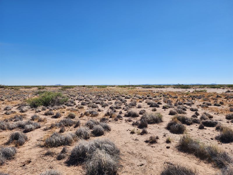 2 Acres Luna Nm, So Cheap : Deming : Luna County : New Mexico