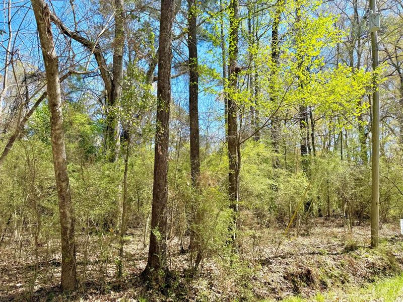 Your Ideal Home Site Awaits : McComb : Pike County : Mississippi