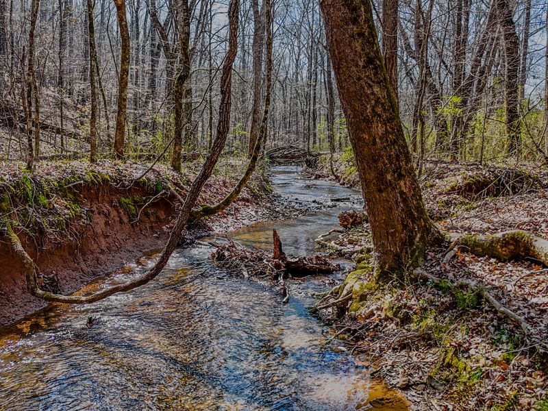 Vanns Creek Lot 12 : Rome : Floyd County : Georgia