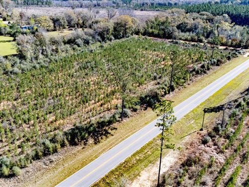 7 Ac Homesite With Curb Appeal : Vernon : Washington County : Florida