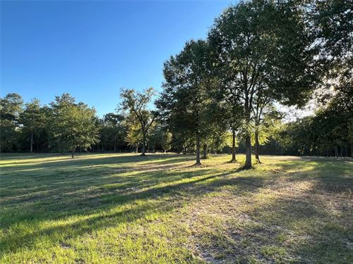 10 Acres in Waller, Texas : Waller : Texas