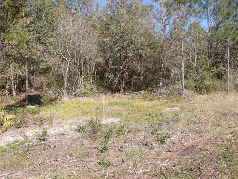 4.49 Acres Near The St Johns River : Palatka : Putnam County : Florida