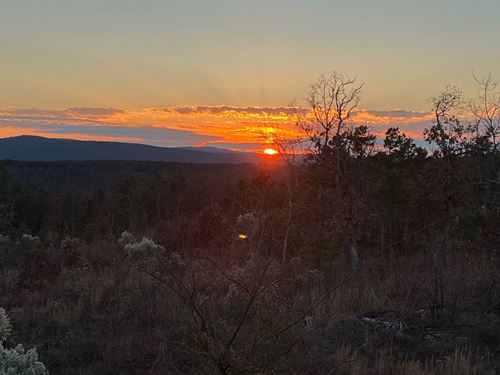 80 Acres and Cabin Hunting Paradise : Bengal : Latimer County : Oklahoma