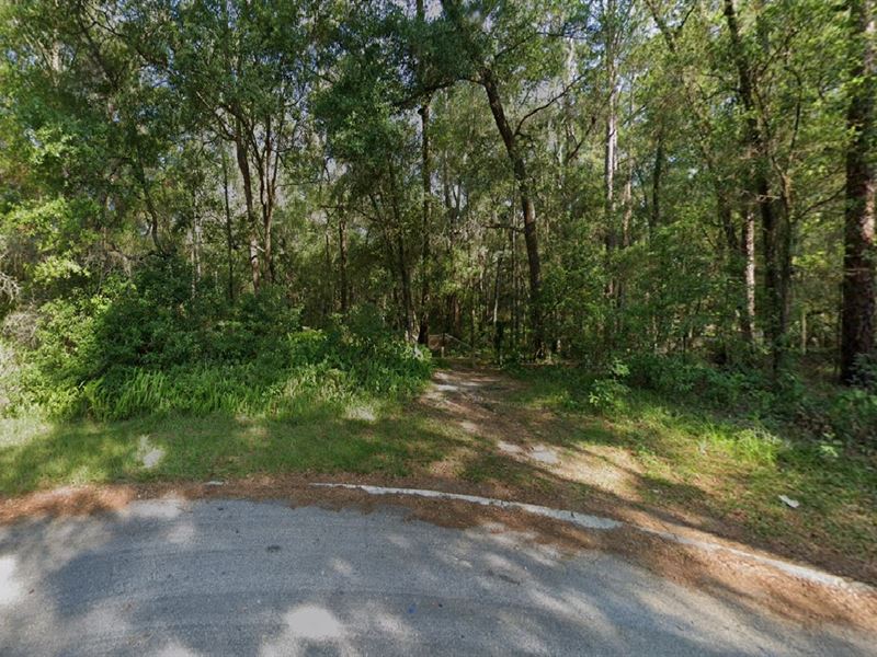 $448/Month, Build or Invest Now : Inverness : Citrus County : Florida