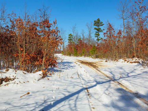 Invest in Missouri, $999 Down : Hartshorn : Texas County : Missouri